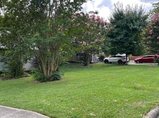 Reina G.'s Lawn Maintenance service result