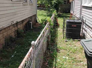 Bush Trimming by Allan Roberts for Jessica S. in Washington, DC