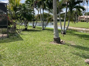 Damon T.'s Lawn Maintenance service result
