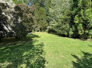Stan R.'s Lawn Maintenance service result