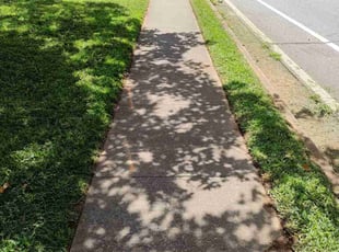 Jacqueline T.'s Yard Cutting service result