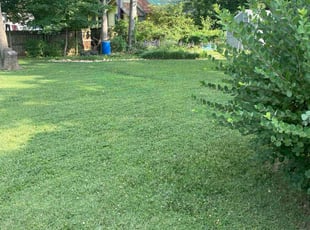 Ennis W.'s Yard Cutting service result