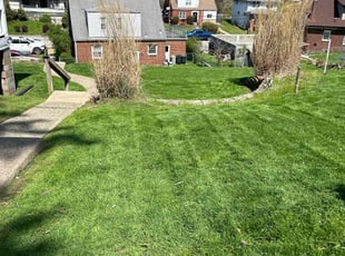 Elisha T.'s Lawn Care service result