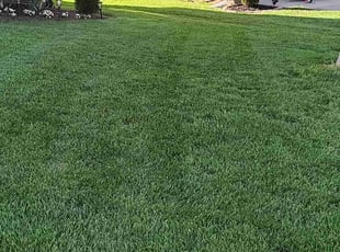 Sanford C.'s Lawn Care service result