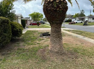 Bush Trimming by Charles Howard for Betsy B. in Holiday, FL