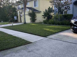 Philip M.'s Lawn Mowing Service service result