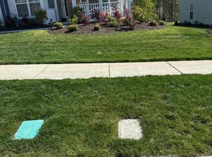 Ray S.'s Lawn Mowing service result