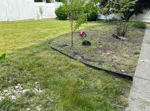 Patrick E.'s Lawn Service service result