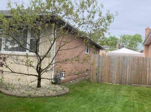Quinn D.'s Lawn Care service result