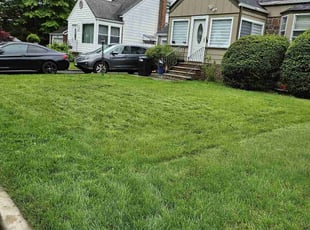 Nicholas K.'s Lawn Maintenance service result
