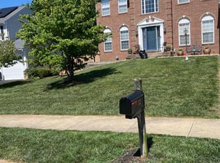Tracy B.'s Lawn Service service result