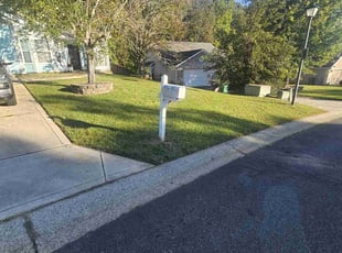 Ken S.'s Grass Cutting service result