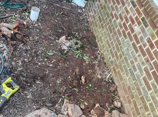 Landscaping by Jonathan Clark for Glenda W. in Suwanee, GA