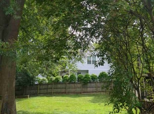 Kyle K.'s Lawn Care service result