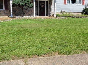 MonaLisa A.'s Yard Cutting service result