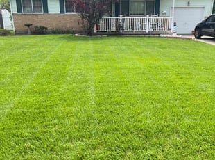 Sterling U.'s Yard Cutting service result