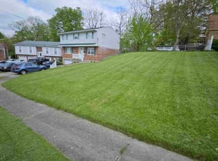 Anna F.'s Grass Cutting service result