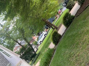 Fernando C.'s Lawn Maintenance service result