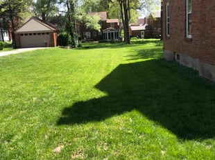 Duane E.'s Lawn Care service result