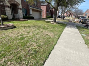 Leaf Removal by JosΓ© Peraza for Jordan S. in Frisco, TX