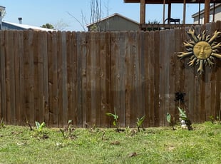 Landscaping by Jasmine Black for Lisa M. in Joshua, TX