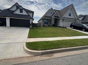 Denise L.'s Lawn Mowing Service service result
