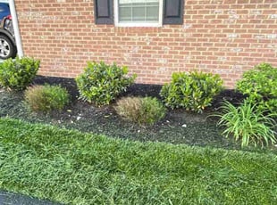 Bush Trimming by Icaro Dos Santos for efua t. in Frederick, MD