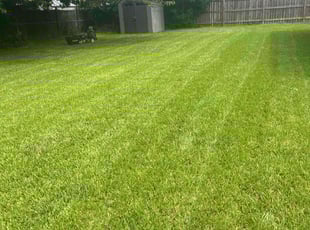 Carlos P.'s Lawn Mowing service result