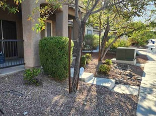 Bush Trimming by Lamont Johnson for Christopher S. in Las Vegas, NV