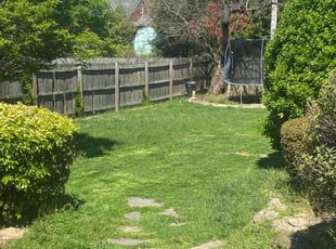 Bush Trimming by David Bazemore for Donna G. in Ellicott City, MD