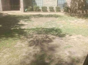 Bush Trimming by John Doyle for Pamela M. in Oklahoma City, OK