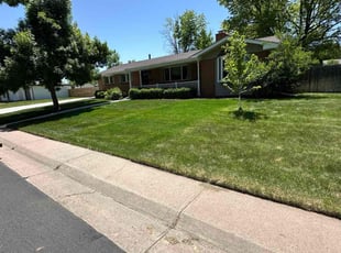 Jay M.'s Lawn Maintenance service result