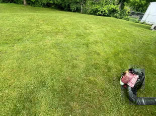 Chasity J.'s Lawn Care service result