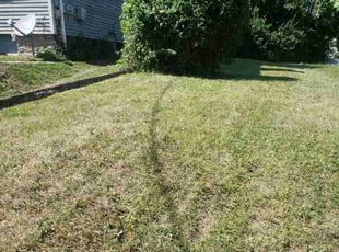 Bush Trimming by Ras Tosh Tafari for Phillip V. in Cincinnati, OH