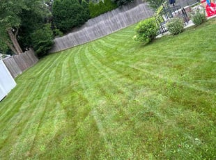 James R.'s Lawn Service service result