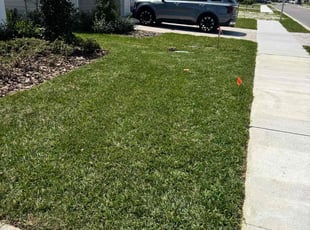 Nichole D.'s Lawn Maintenance service result