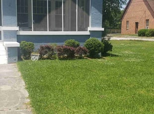 Stephen M.'s Yard Cutting service result