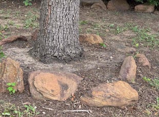 Cleanups by Maria Hernandez for Brandon S. in Frisco, TX