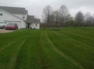 Carolyn D.'s Lawn Mowing service result