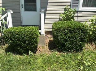 Dawn R.'s Bush Trimming service result