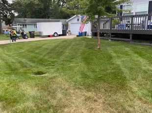 Ross D.'s Lawn Care service result