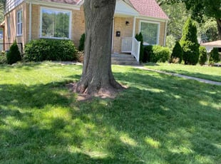 Tim M.'s Grass Cutting service result