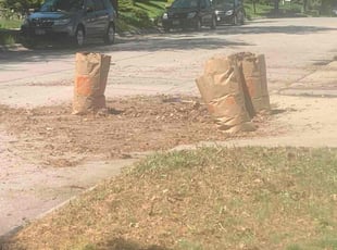 Leaf Removal by Leonard Hackensmith for Betsy B. in Minneapolis, MN