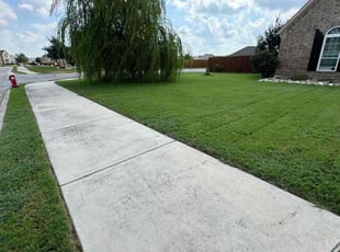 Vinh N.'s Lawn Service service result