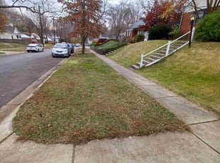 Leaf Removal by Amber Fuentes for Kia E. in Silver Spring, MD