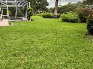 Layna S.'s Lawn Service service result