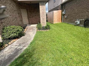Michael M.'s Lawn Mowing service result