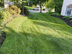 John G.'s Lawn Mowing service result