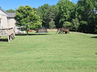 Matthew H.'s Lawn Service service result