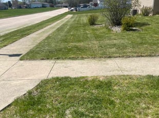 Phil D.'s Lawn Mowing service result